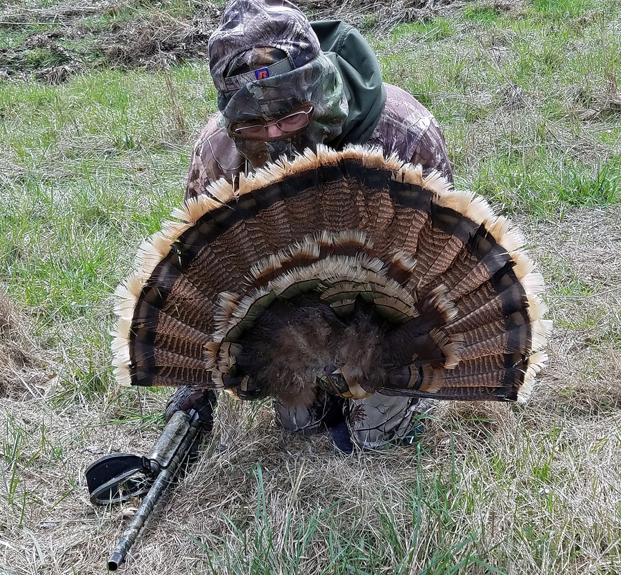Spring Turkey Tactics Does Fanning Fly Against Tradition? HuntStand