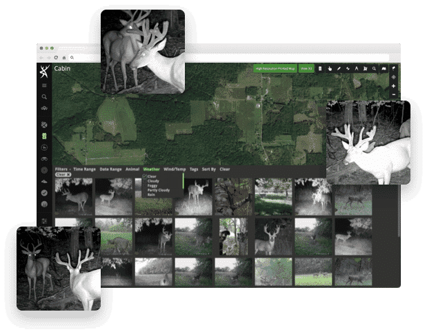TrailCams-image