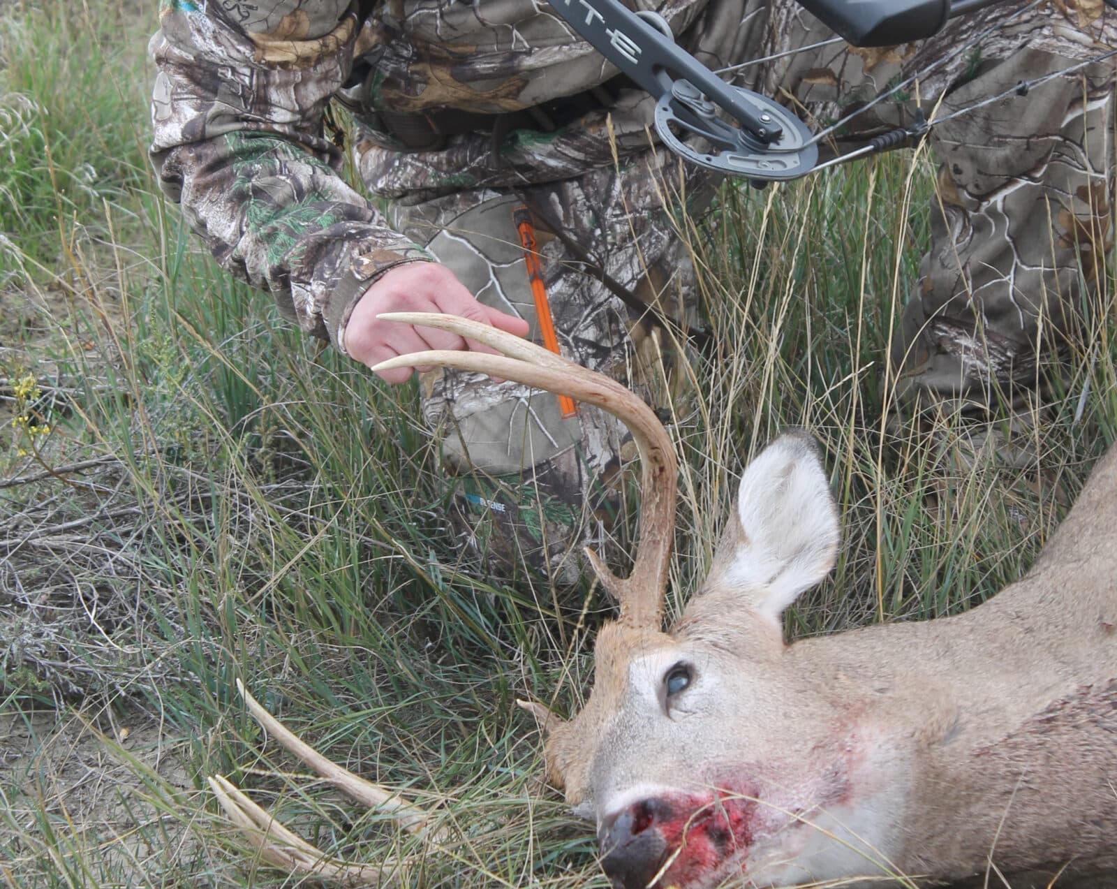 Deer Hunting Success