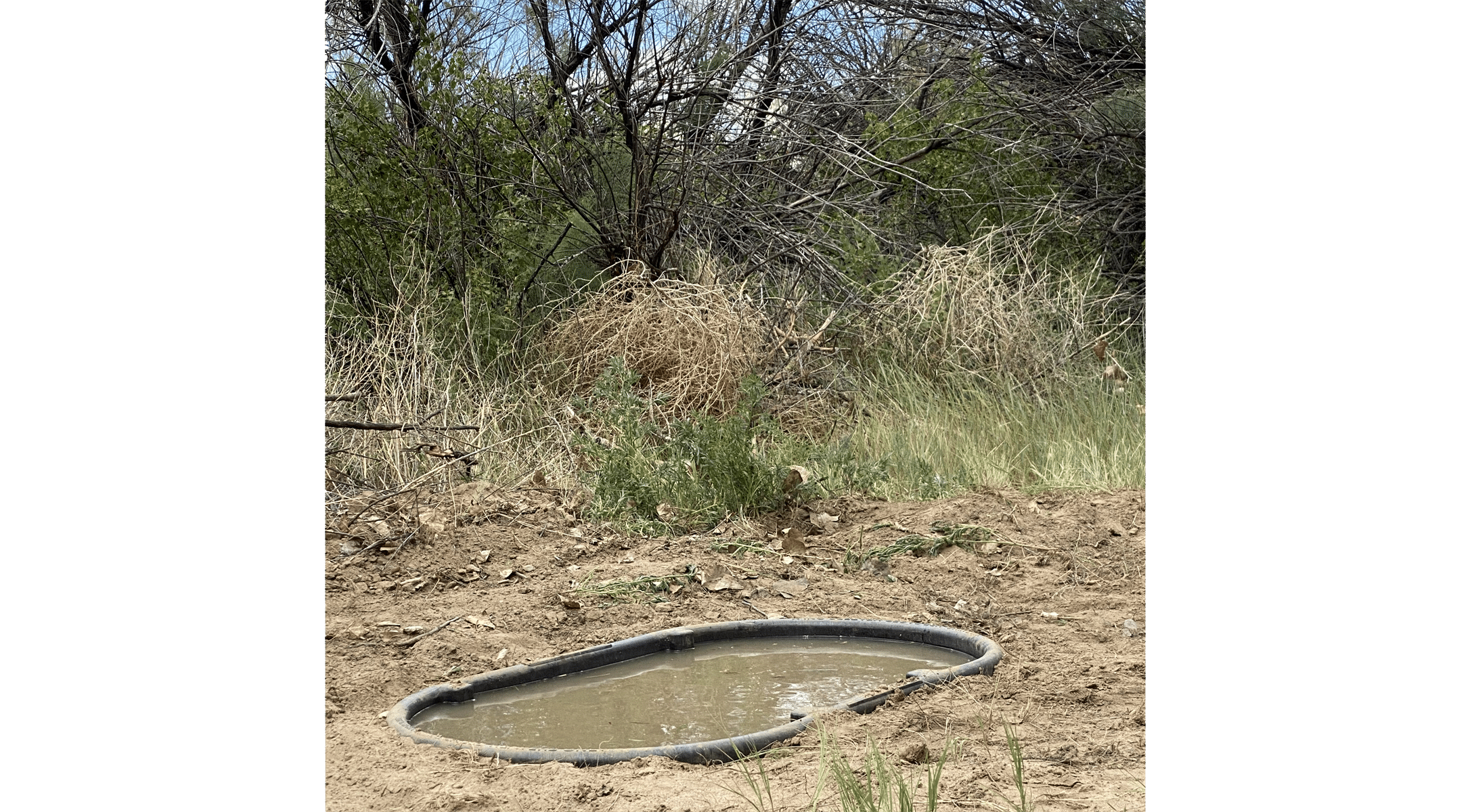 Rubber Tub Waterhole