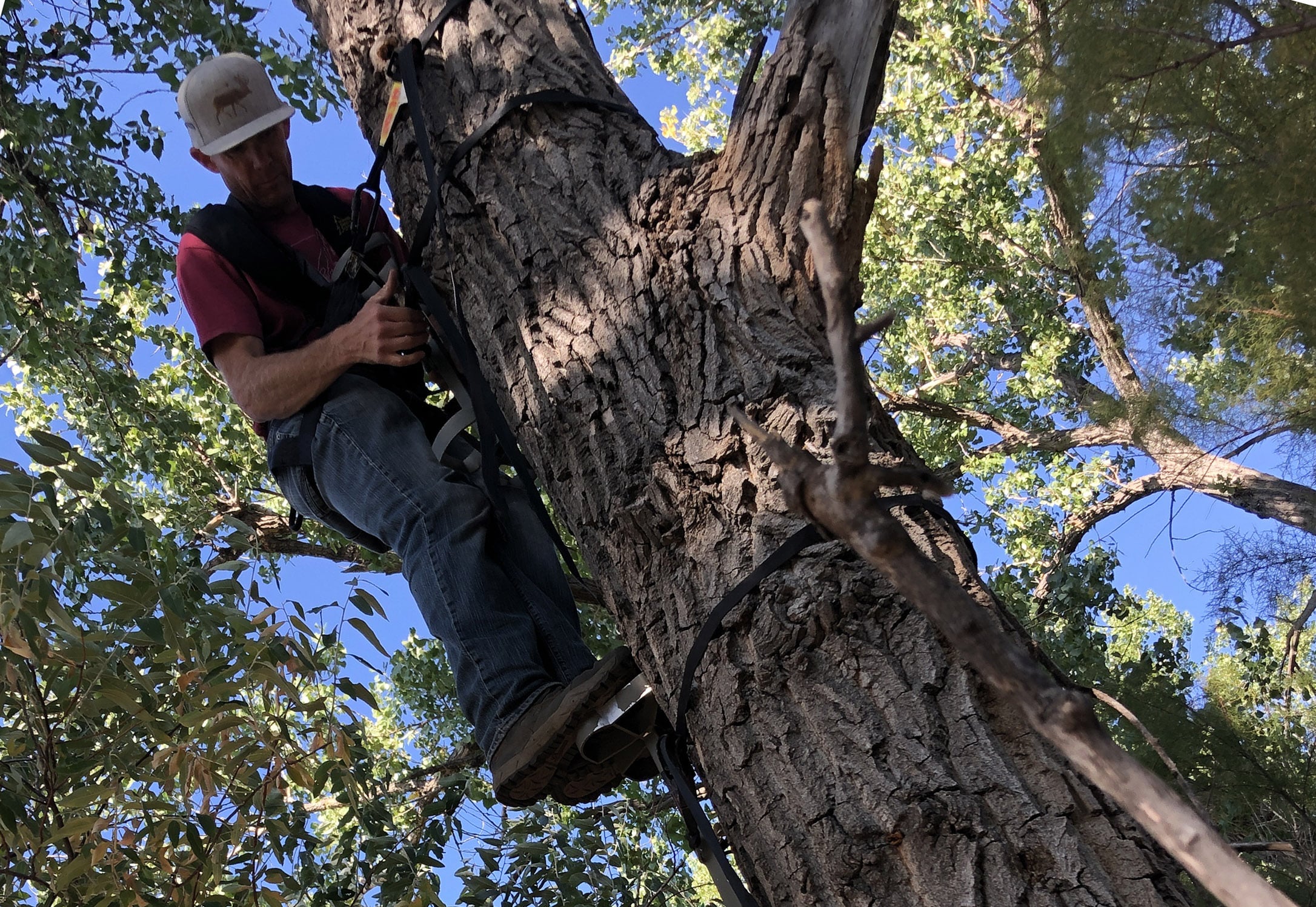 Hanging New Treestand