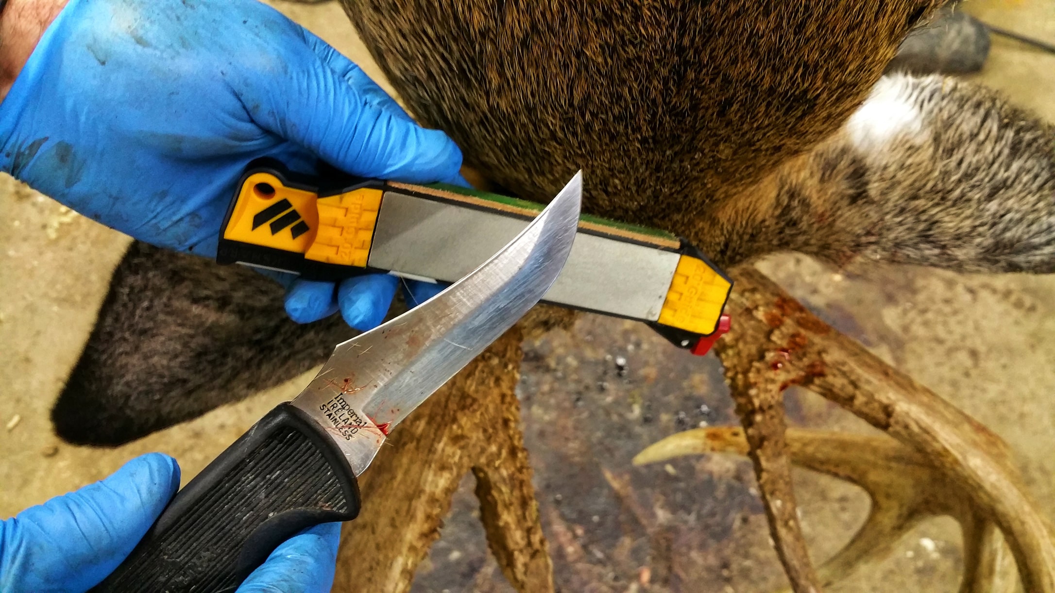 Expert Tips for Choosing a Hunting Knife HuntStand